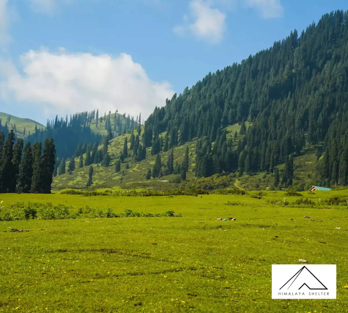 Gallery photo - The Bodpathri Lake trek 4