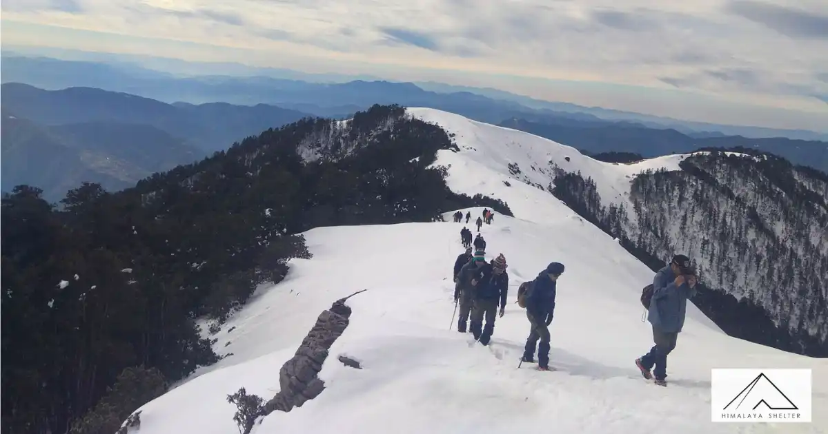 Trekkers On Brahma Tal Trek 