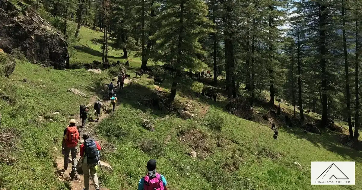 Trekkers on the path to Buran Ghati