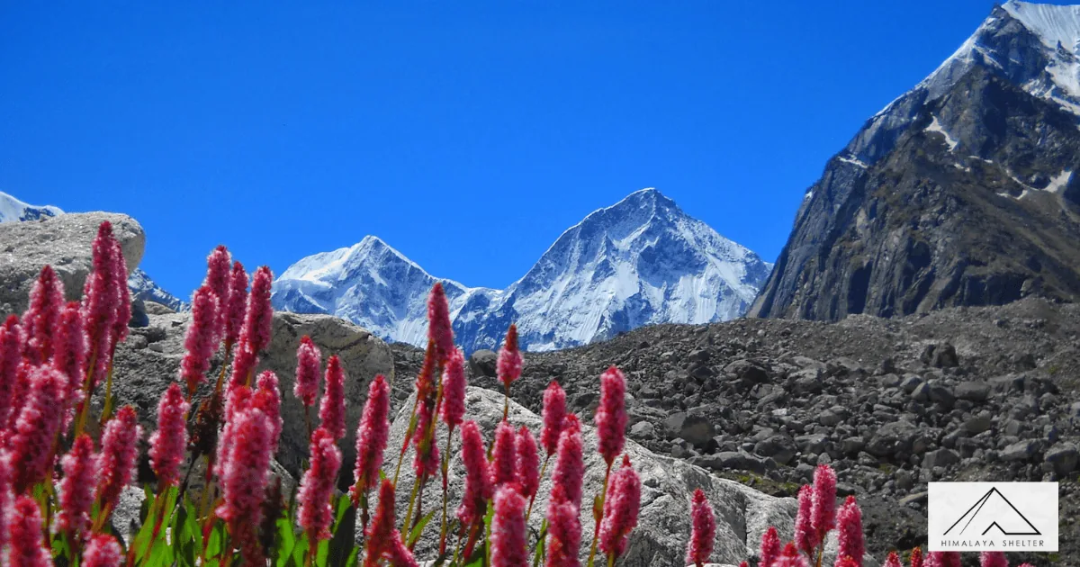 Chenap Valley Trek