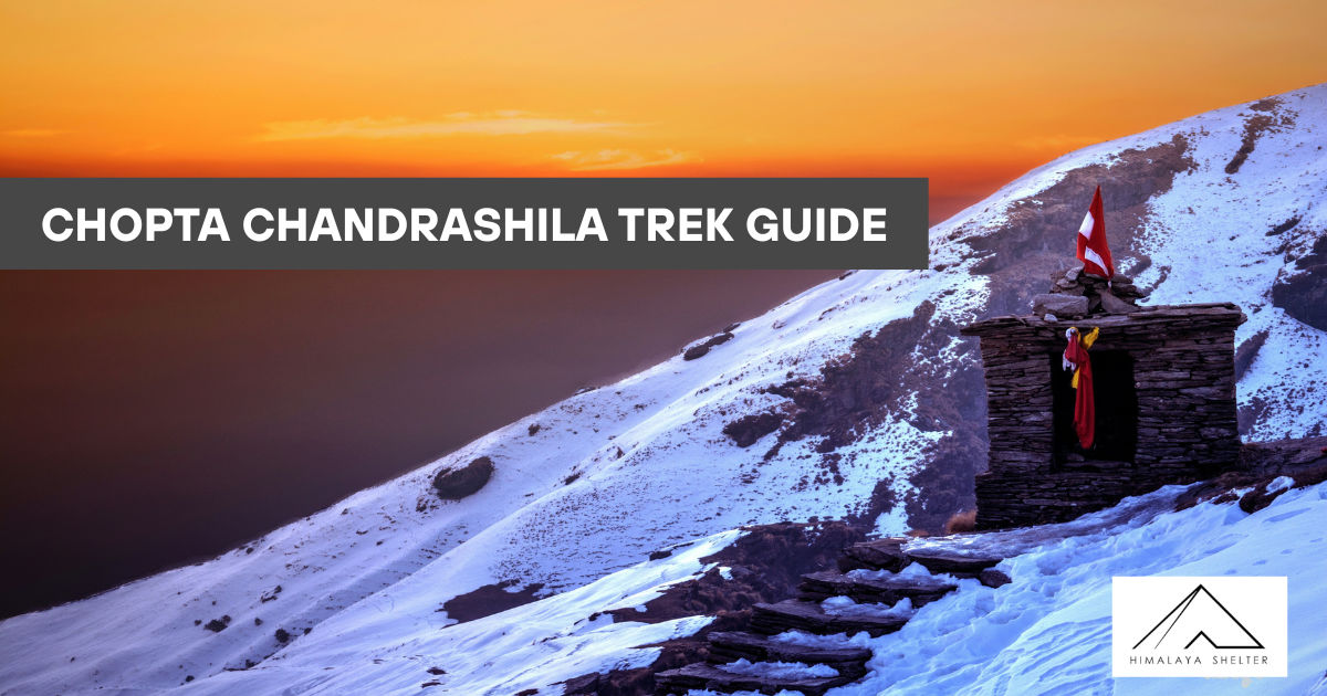 Chopta Chandrashila Trek Guide