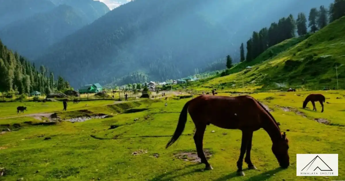 Day 6- Tarsar Marsar Trek