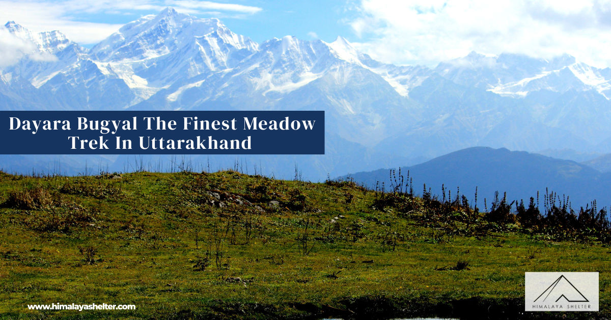 Dayara Bugyal The Finest Meadow Trek In Uttarakhand