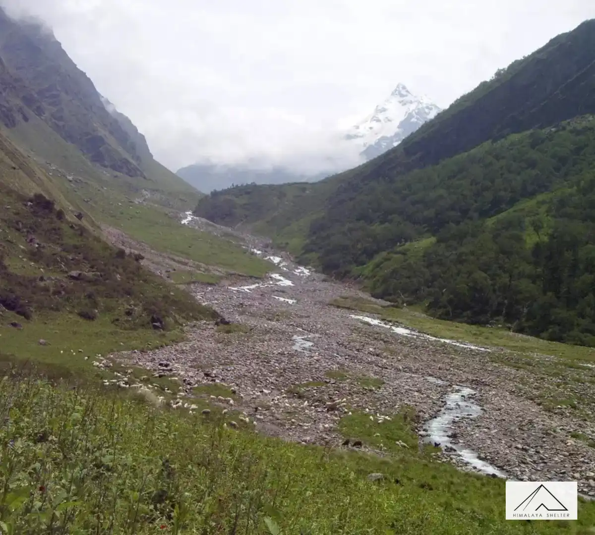 Gallery photo - Dev Kyara Trek 1