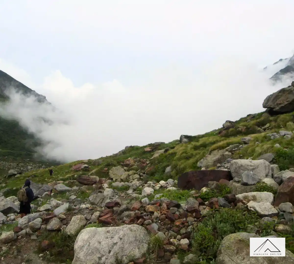 Gallery photo - Dev Kyara Trek 10