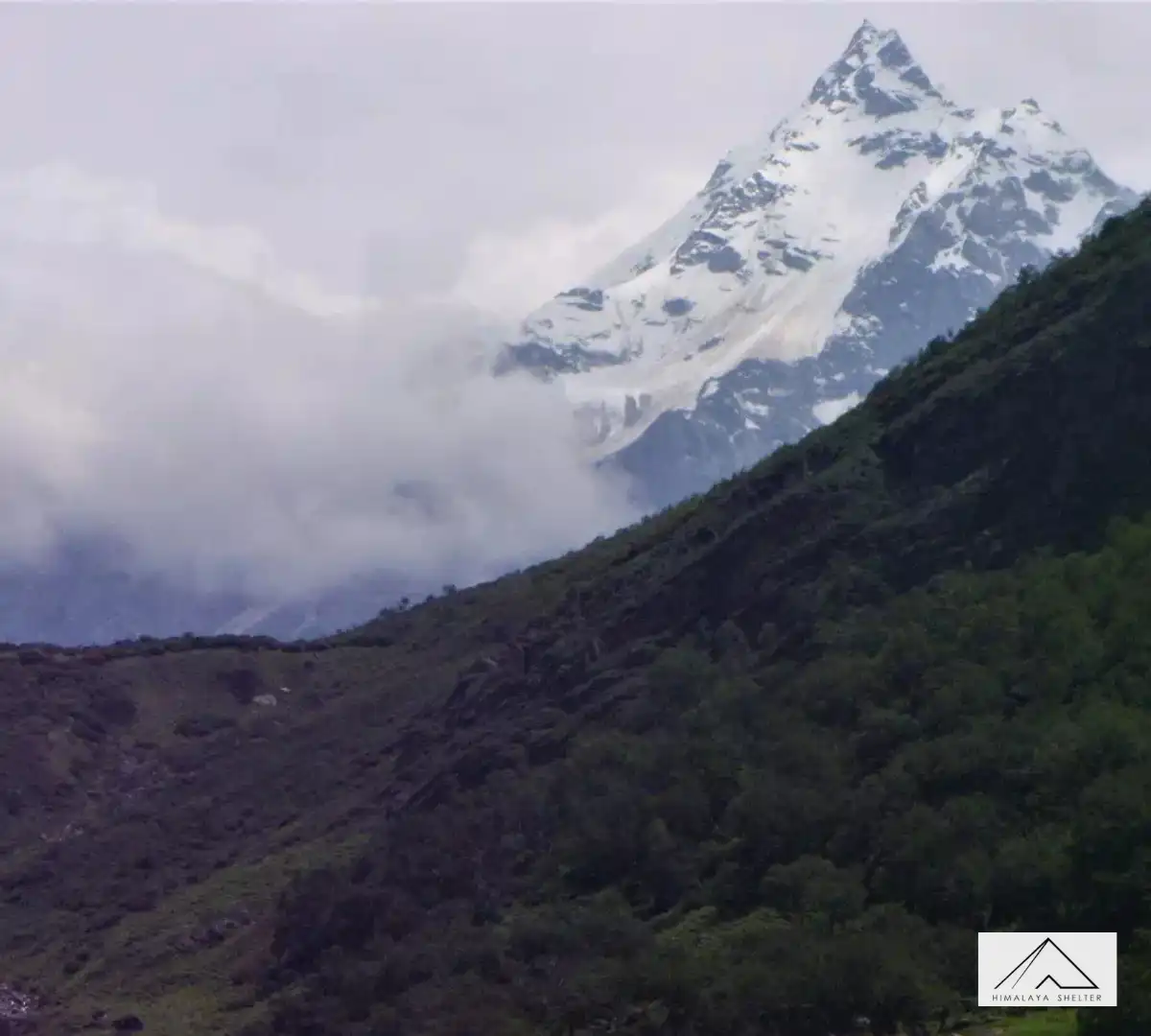 Gallery photo - Dev Kyara Trek 12