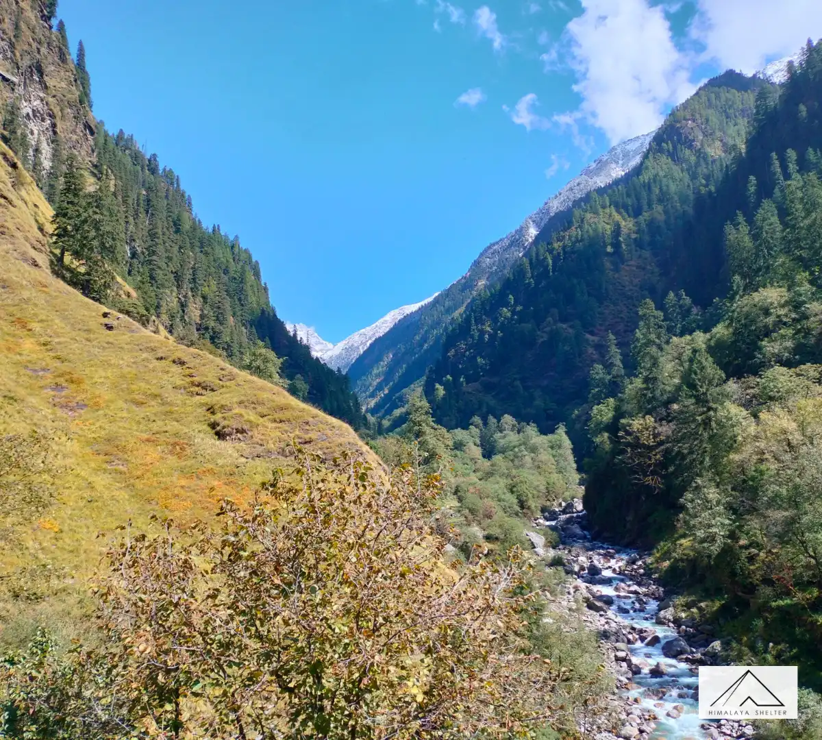 Gallery photo - Dev Kyara Trek 2