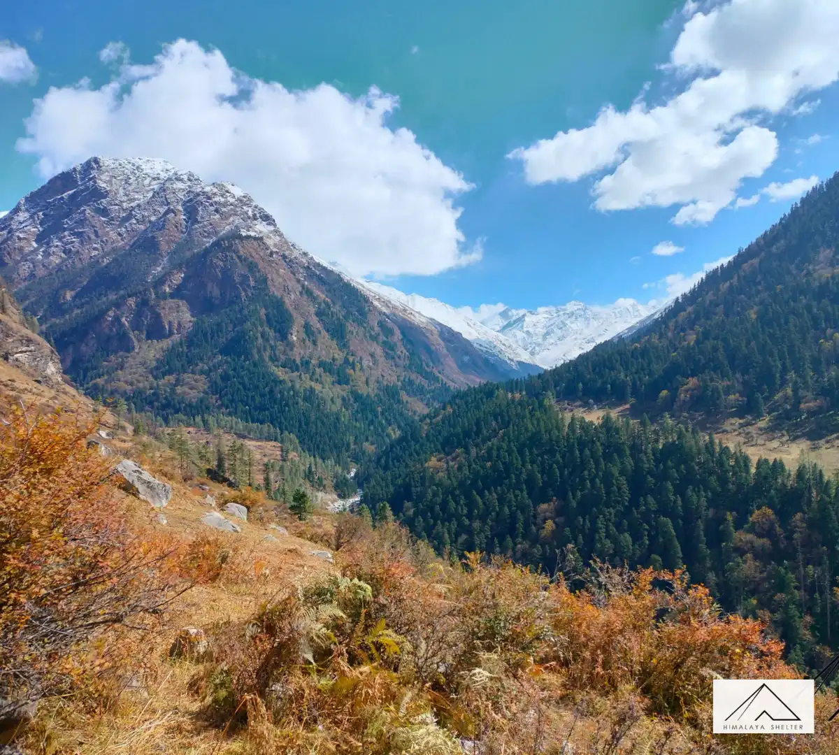 Gallery photo - Dev Kyara Trek 3