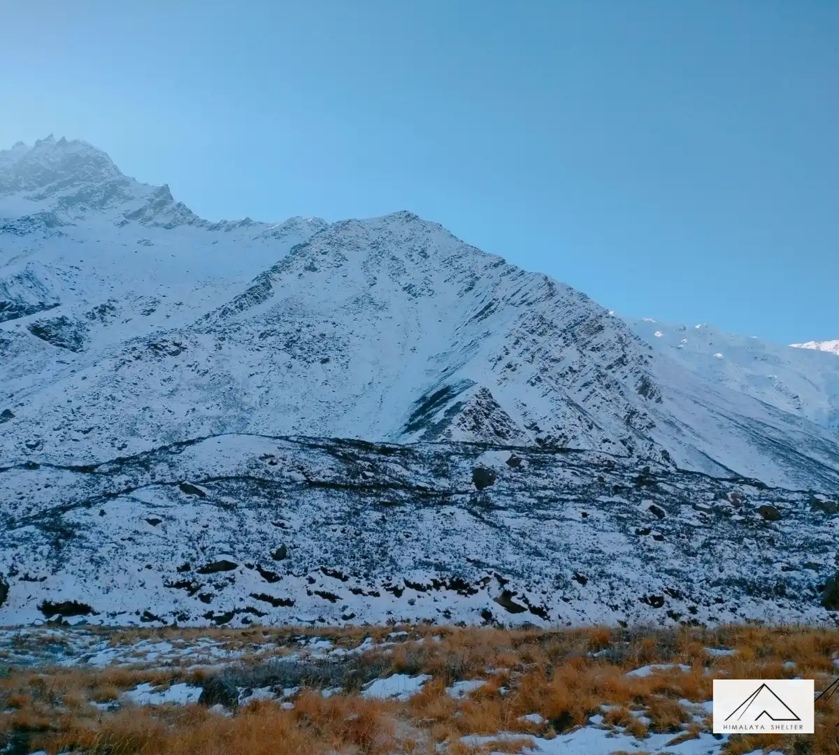 Gallery photo - Dev Kyara Trek 8