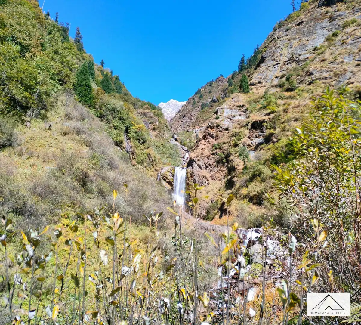 Gallery photo - Dev Kyara Trek 9