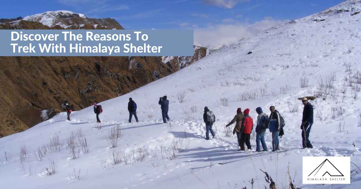 Discover The Reasons To Trek With Himalaya Shelter