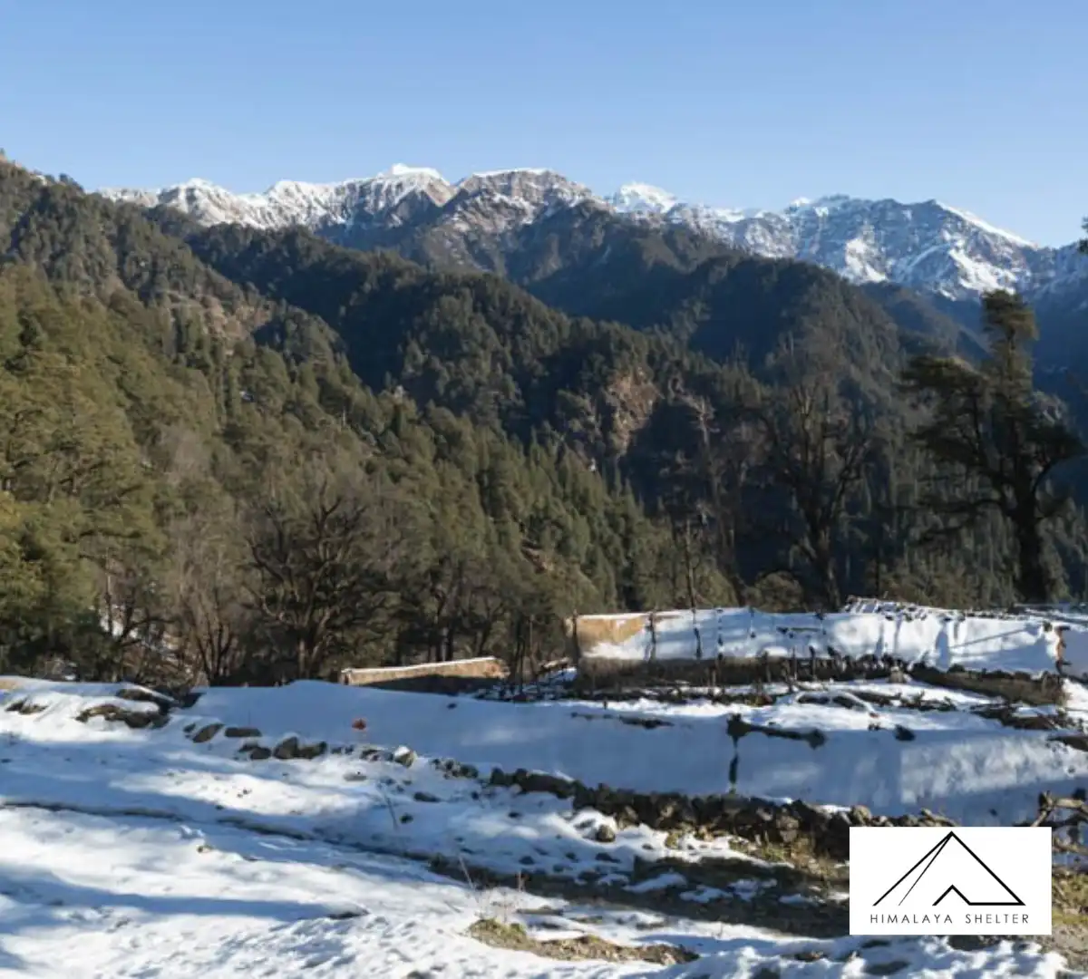 Gallery photo - Dodital Darwa Top Yamunotri Trek 8