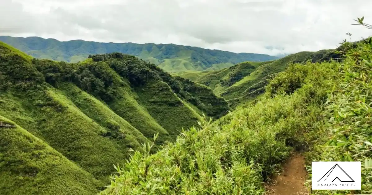 Dzukou Valley Trek