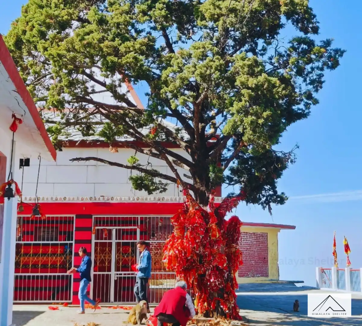 Gallery photo - Kunjapuri Temple Trek 2