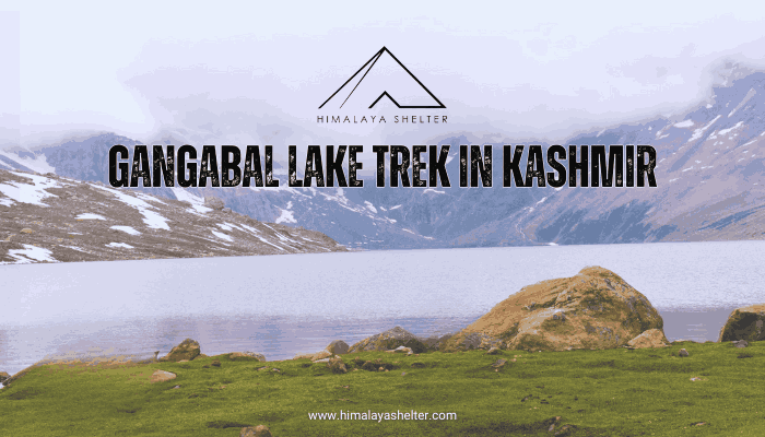 Gangabal Lake Trek in Kashmir