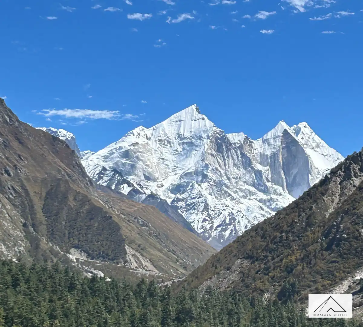 Gallery photo - Gaumukh Tapovan Trek 1