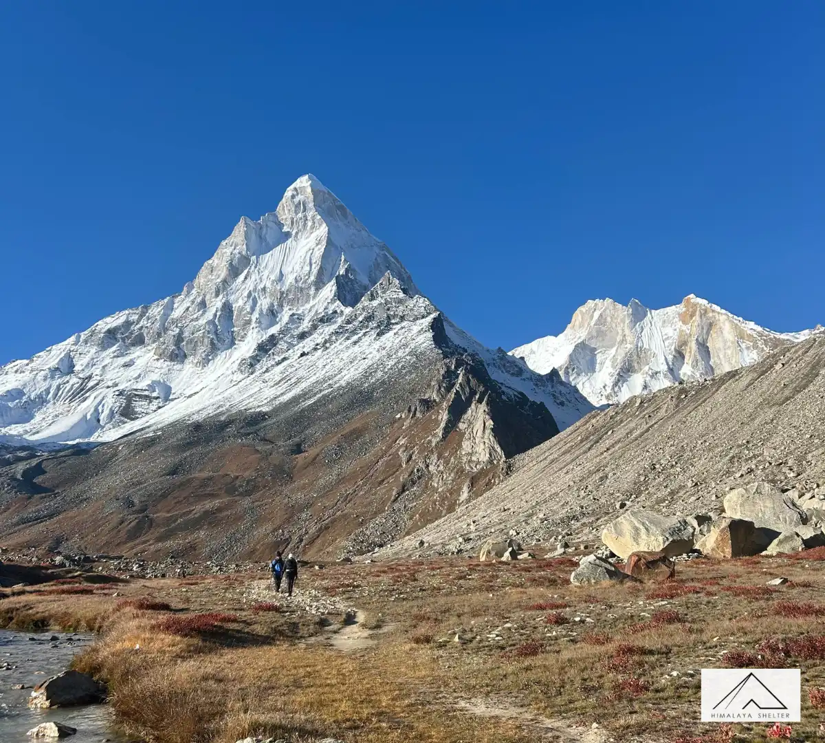 Gallery photo - Gaumukh Tapovan Trek 7