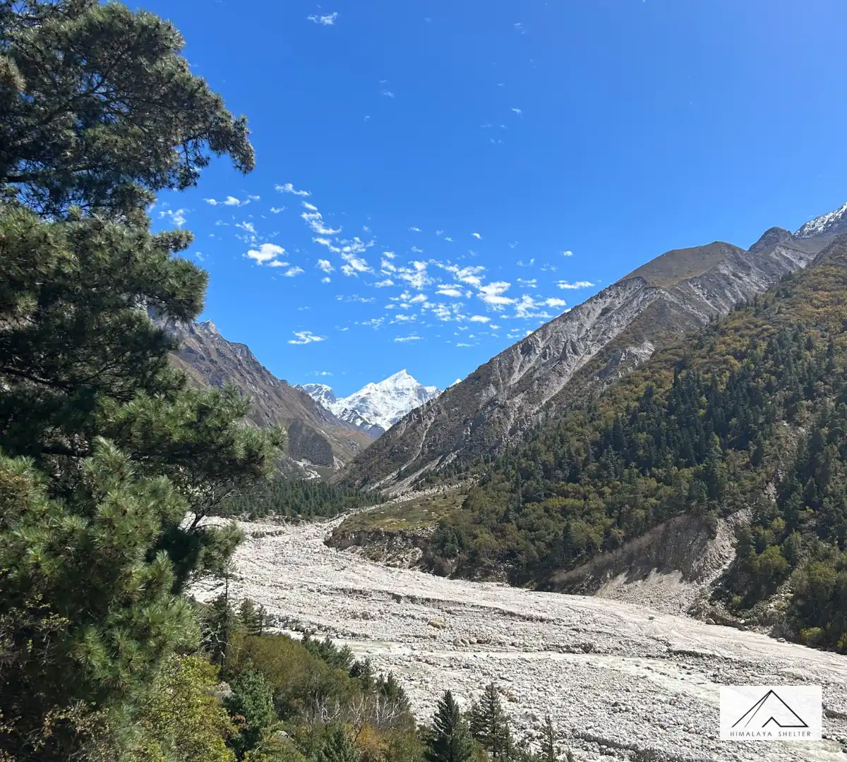 Gallery photo - Gaumukh Tapovan Trek 2