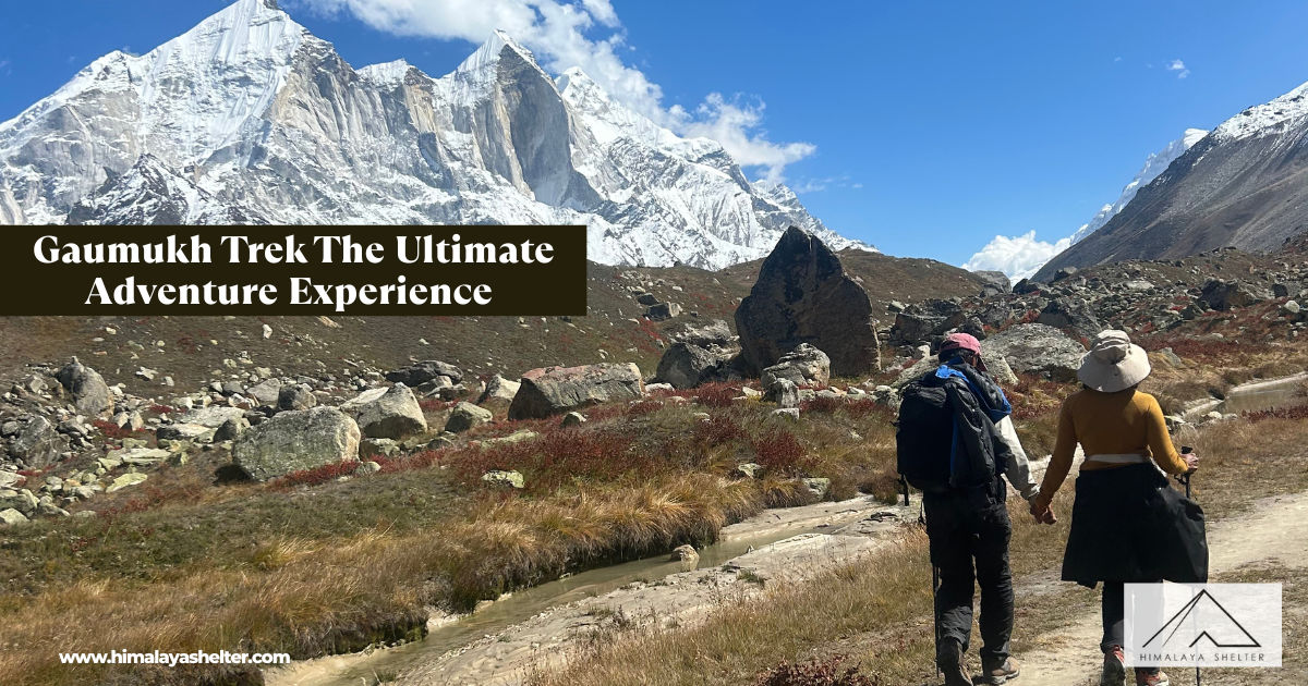 Gaumukh Trek The Ultimate Adventure Experience
