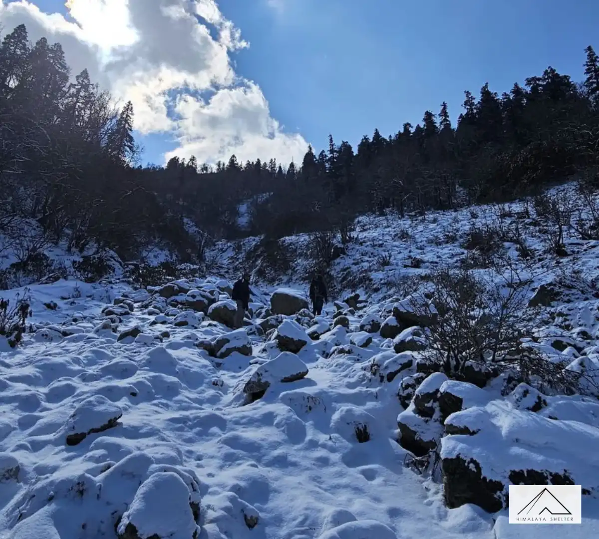 Gallery photo - Gulabi Kantha Trek 3