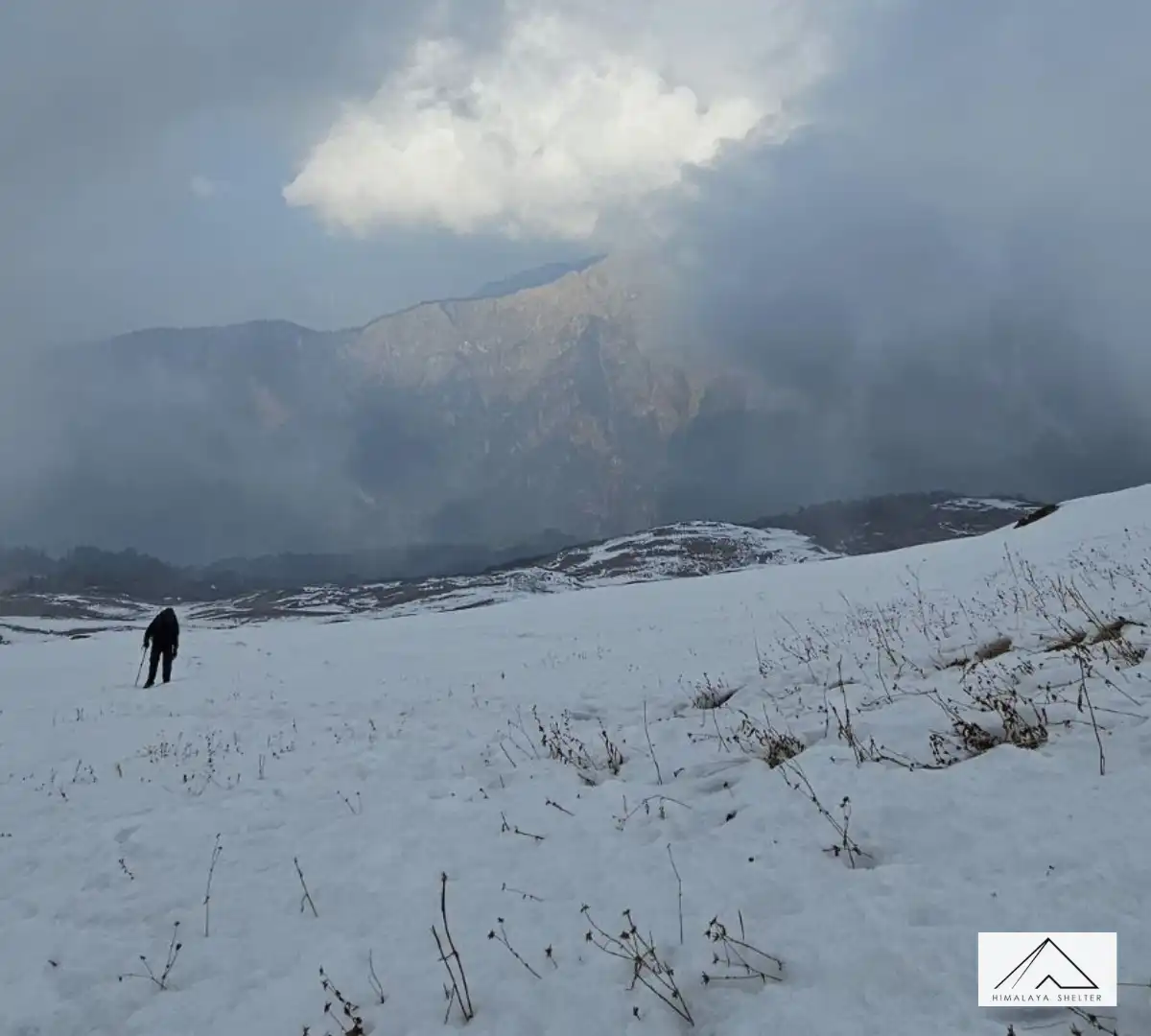 Gallery photo - Gulabi Kantha Trek 4