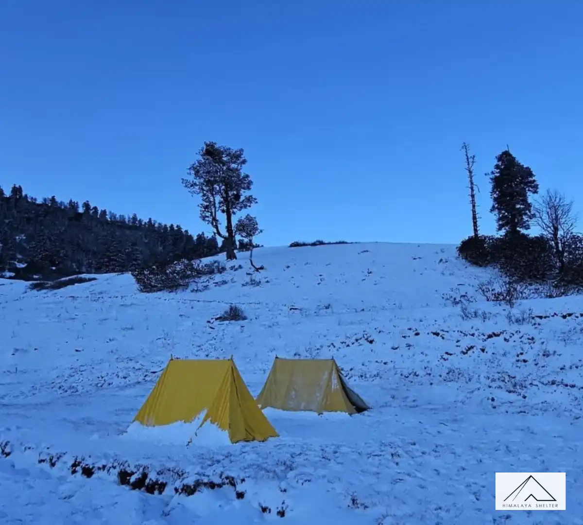 Gallery photo - Gulabi Kantha Trek 5