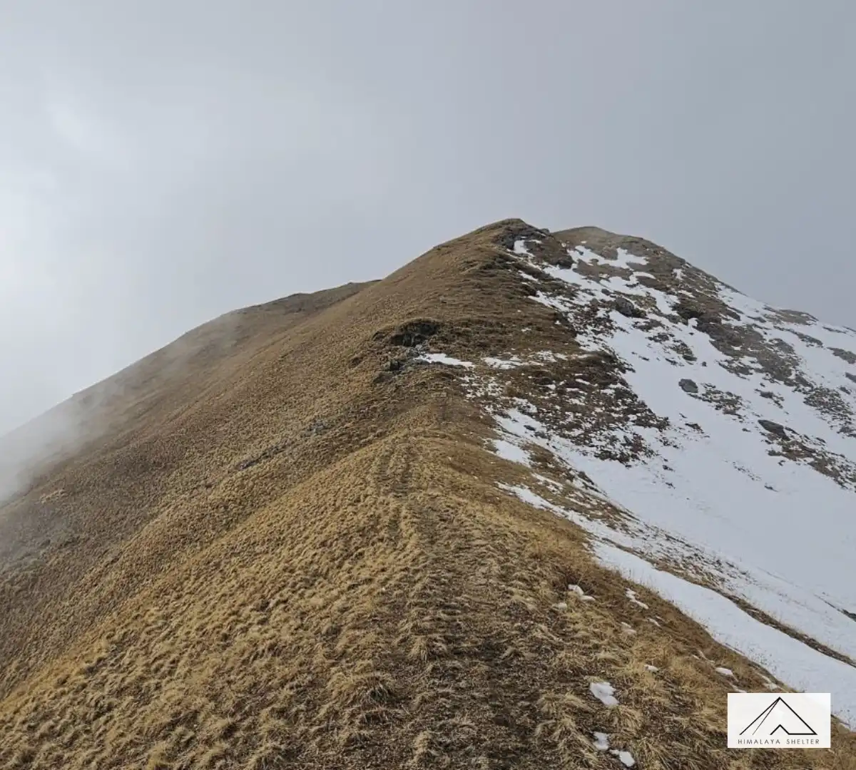 Gallery photo - Gulabi Kantha Trek 7