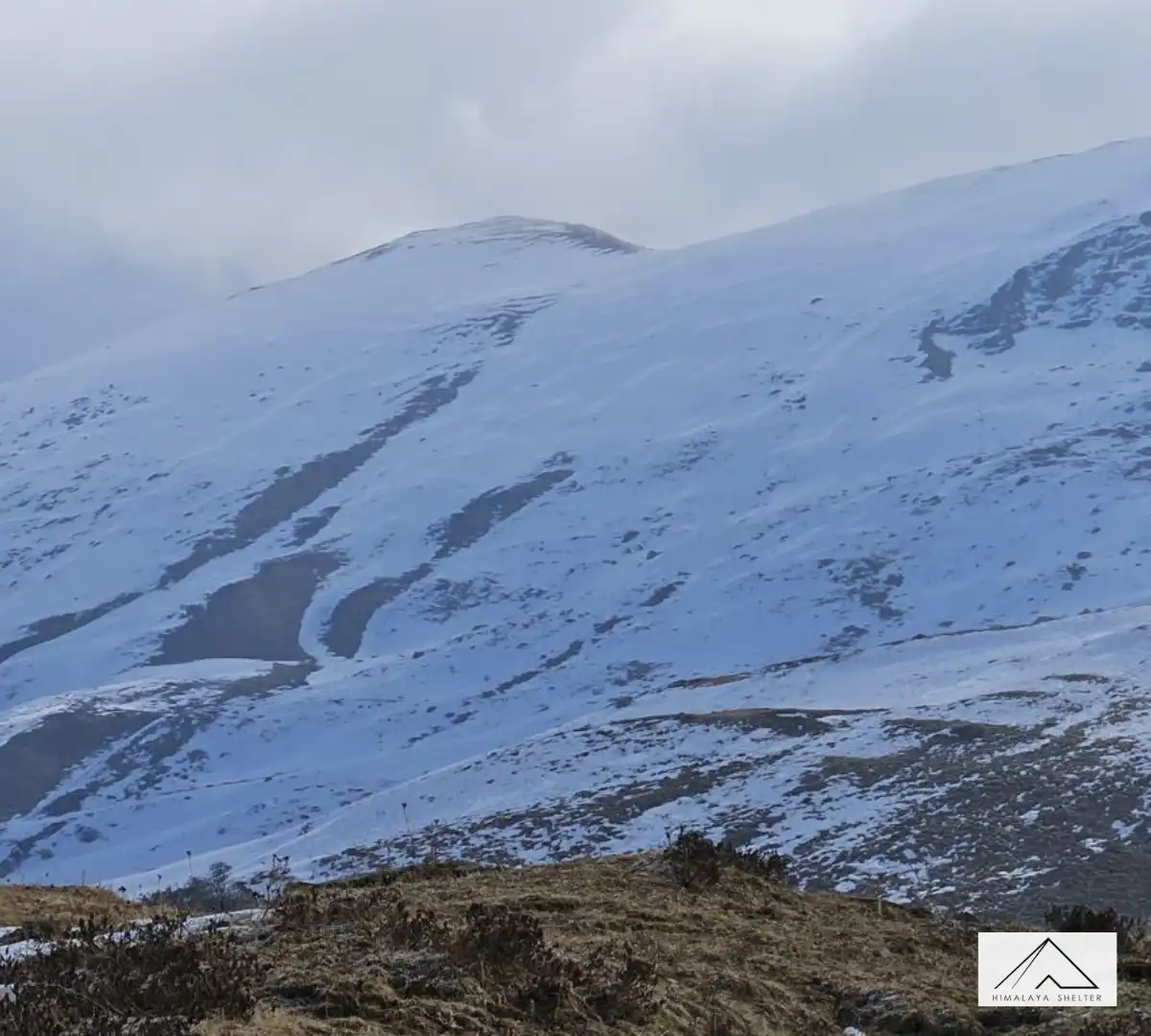 Gallery photo - Gulabi Kantha Trek 8