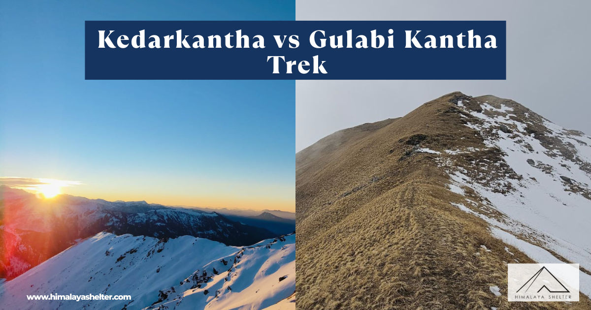 Kedarkantha vs Gulabi Kantha trek