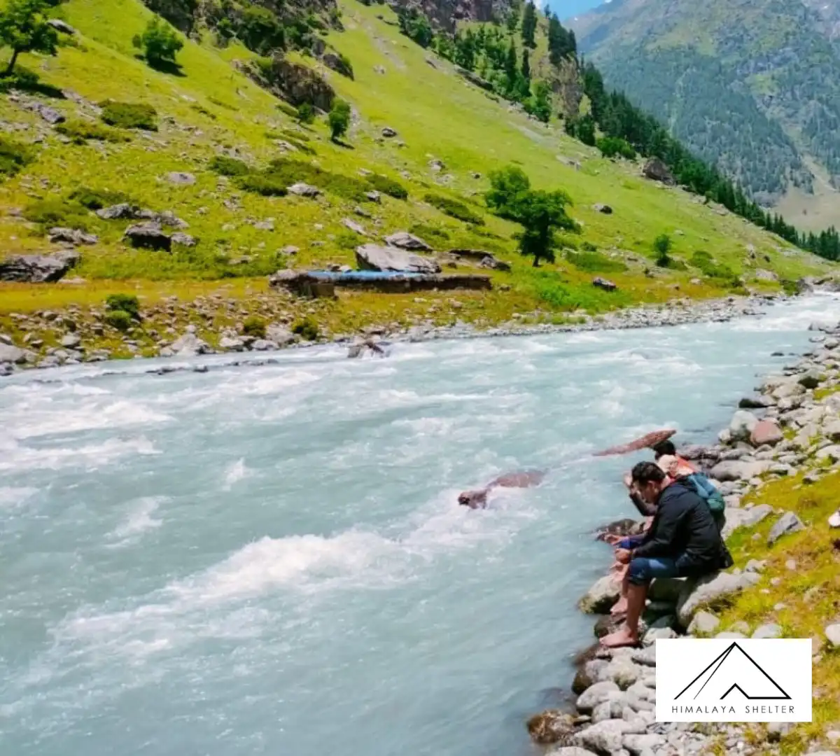 Gallery photo - Nafran Valley Trek 1