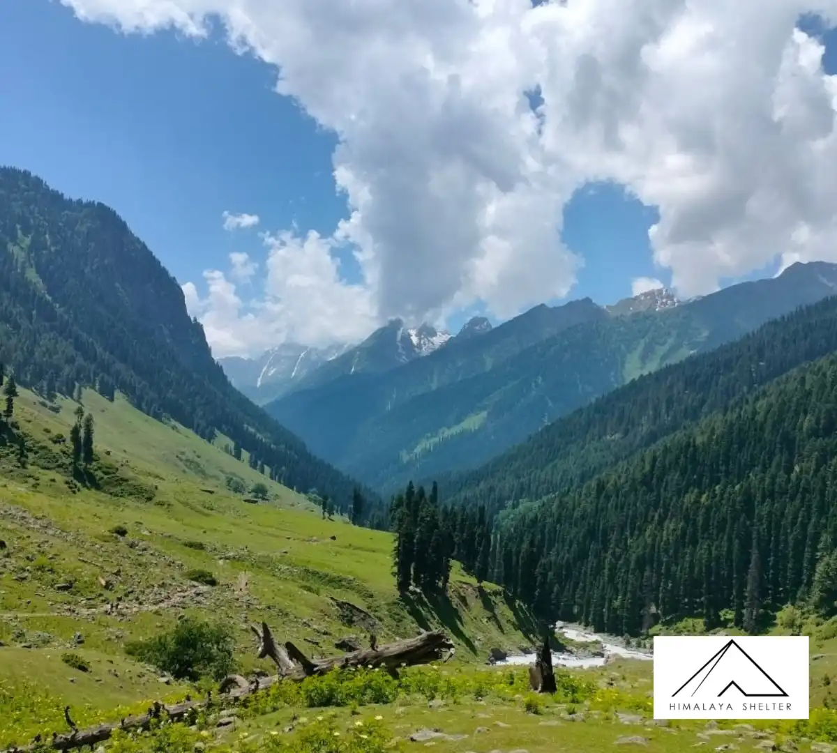 Gallery photo - Nafran Valley Trek 5