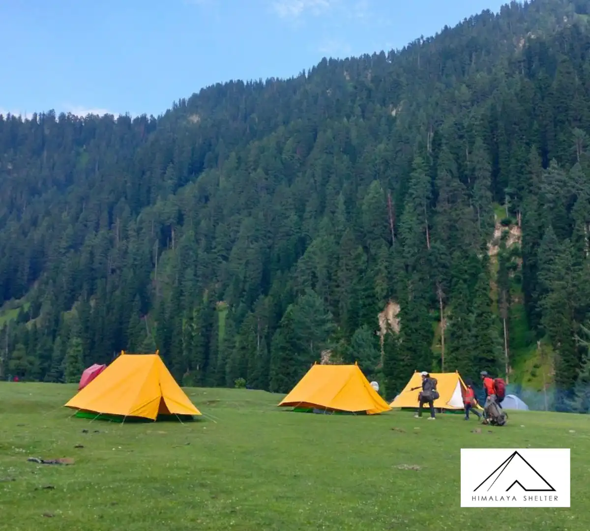 Gallery photo - Nafran Valley Trek 7