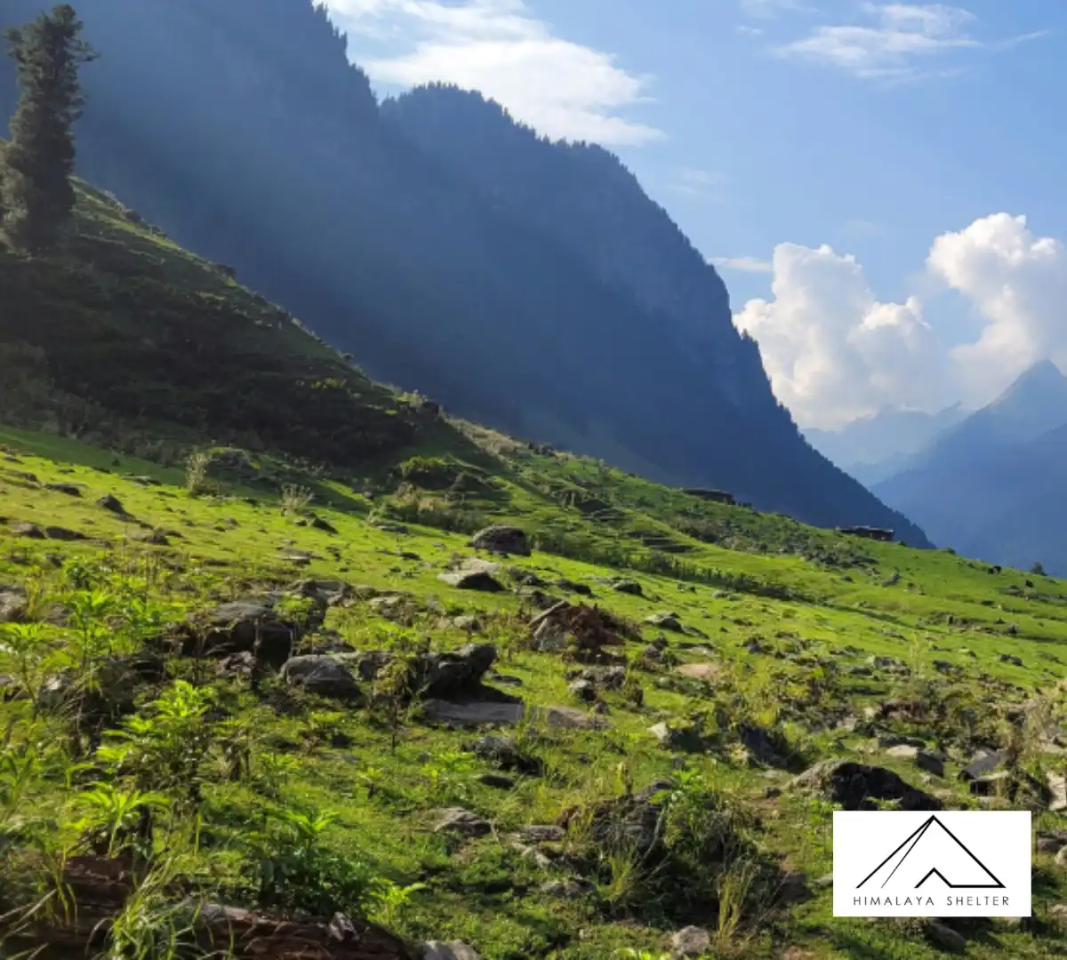 Gallery photo - Nafran Valley Trek 8