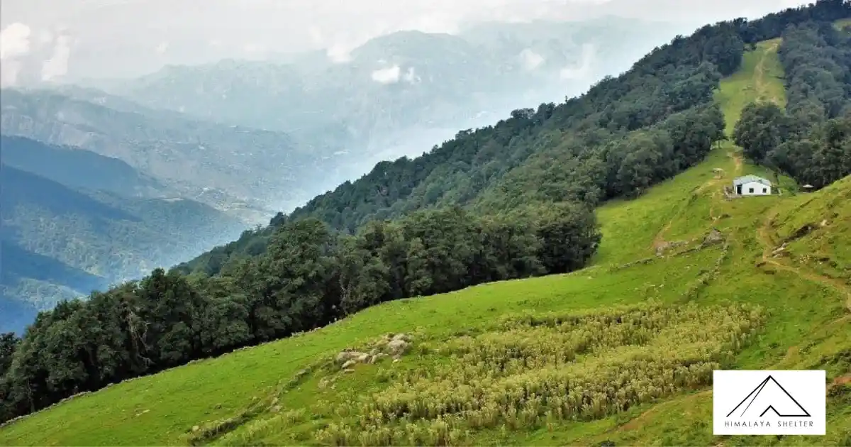 Trail Leading Towards Nag Tibba