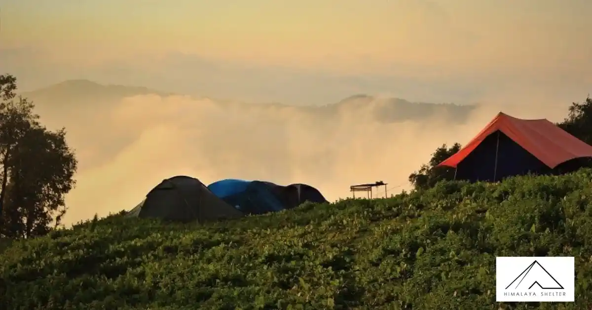 Soothing Weather At Nag Tibba 