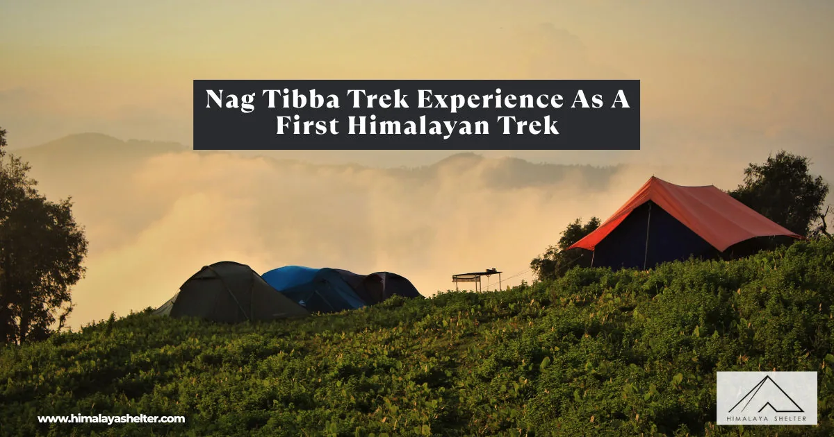 Nag Tibba Trek Experience As A First Himalayan Trek: My first solo trip - conquering nag tibba trek in garhwal himalayas