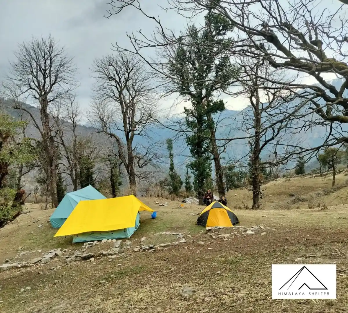 Gallery photo - Pangarchulla Trek 1