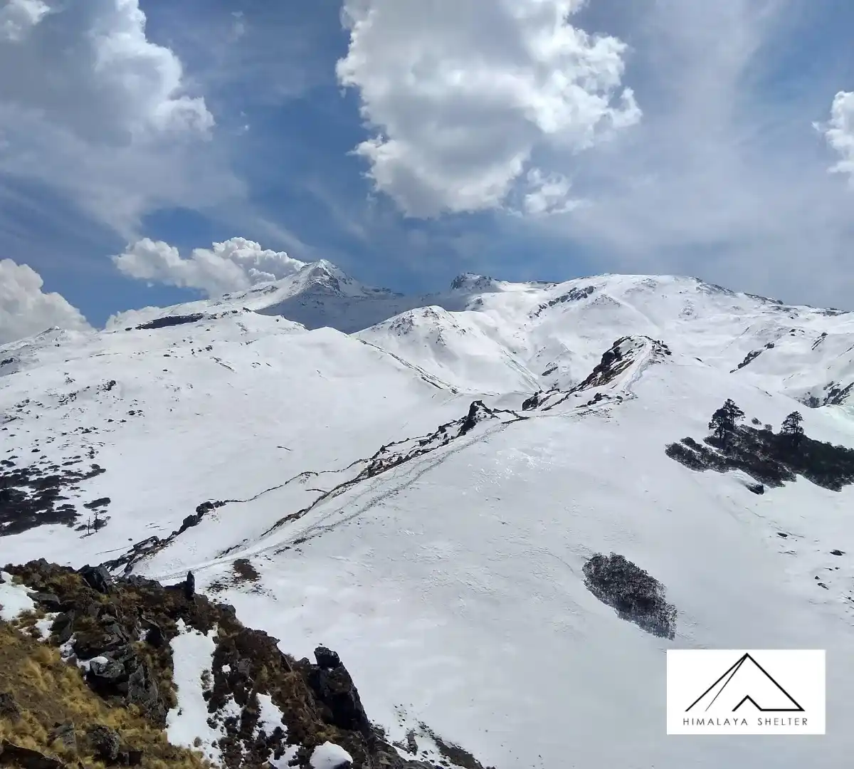 Gallery photo - Pangarchulla Trek 3