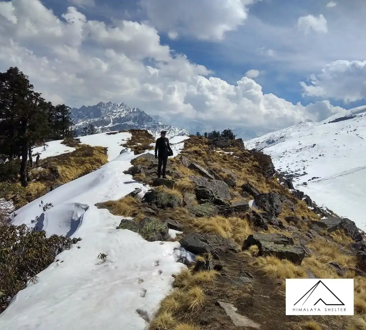 Gallery photo - Pangarchulla Trek 5