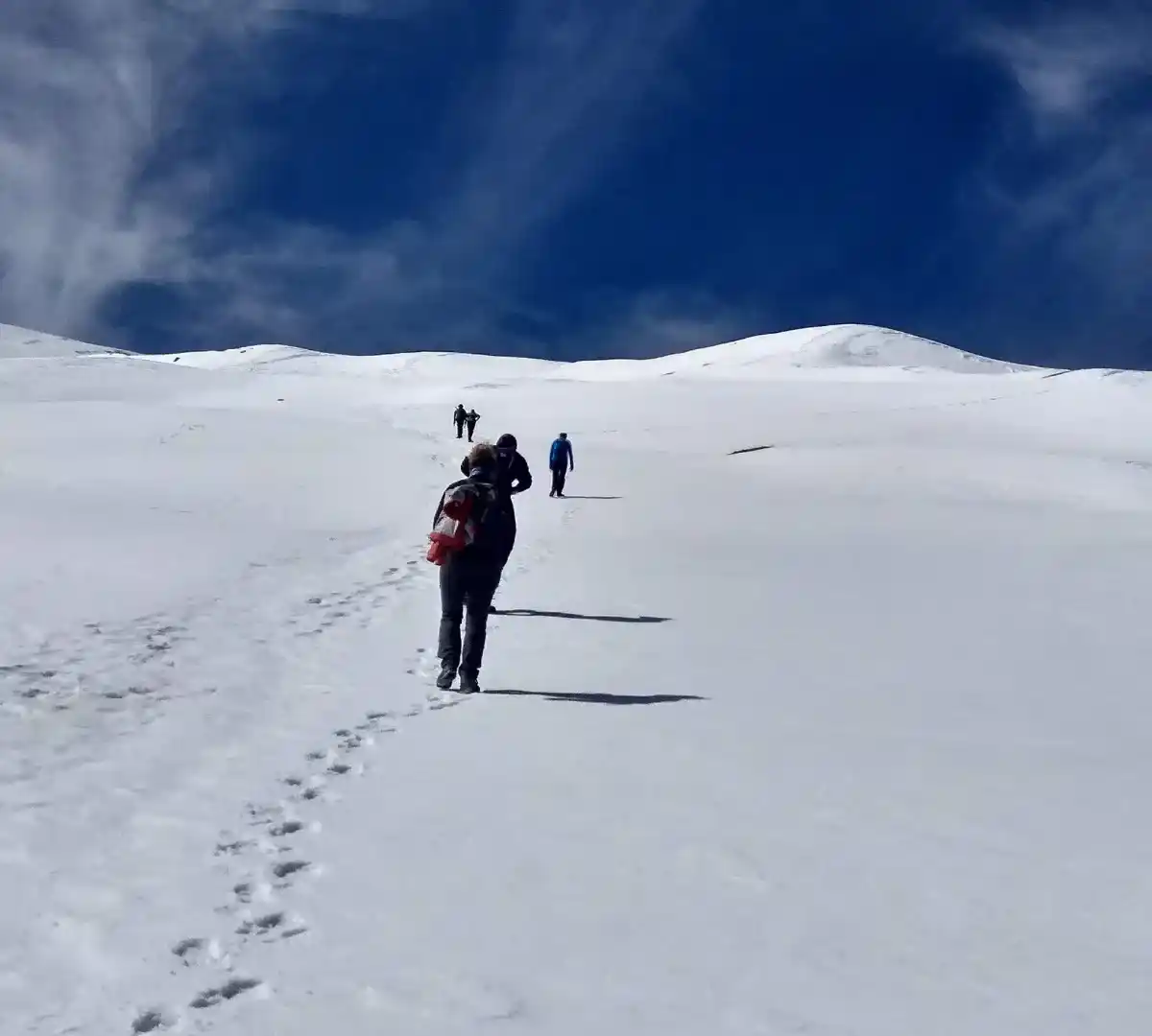 Gallery photo - Pangarchulla Trek 7