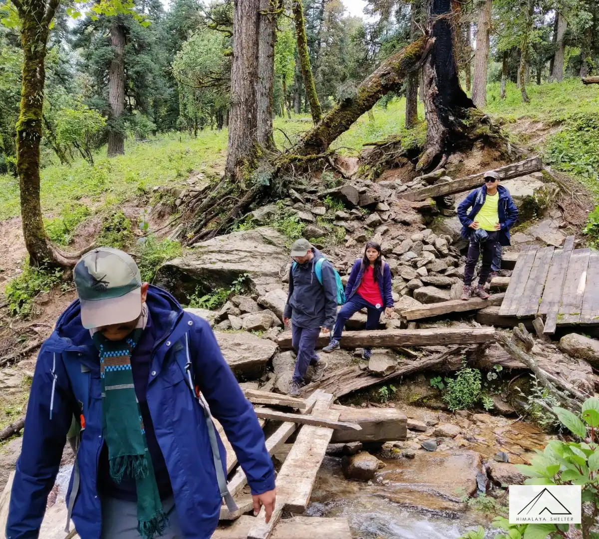 Gallery photo - Family Trip in Summer Phulara Ridge Trek 1