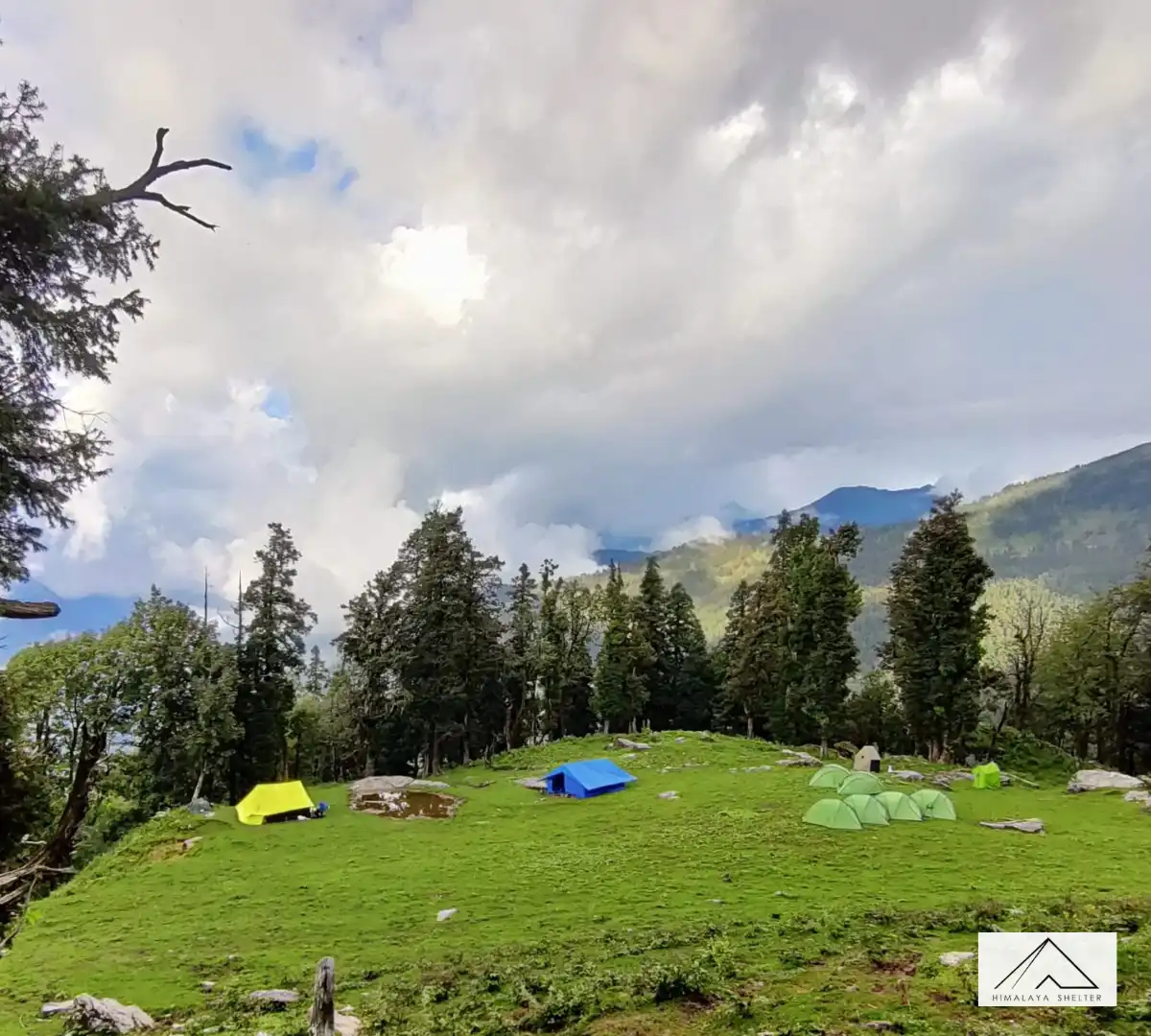 Gallery photo - Family Trip in Summer Phulara Ridge Trek 10