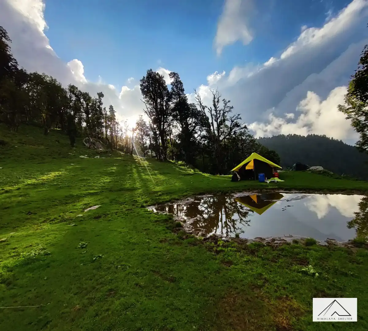 Gallery photo - Family Trip in Summer Phulara Ridge Trek 11