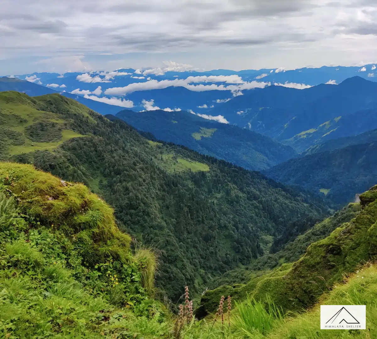 Gallery photo - Family Trip in Summer Phulara Ridge Trek 3