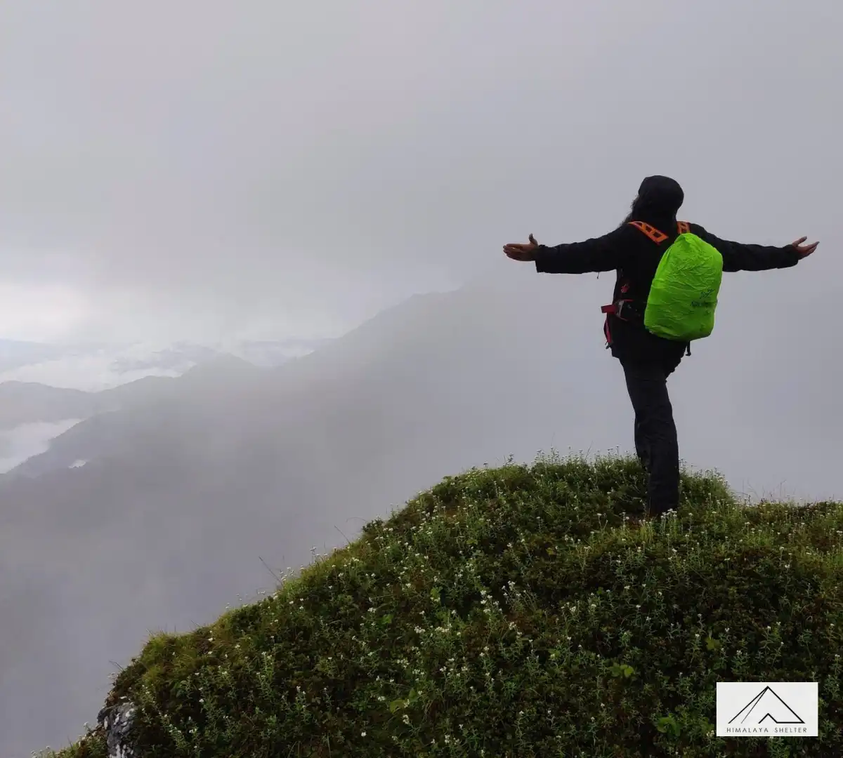 Gallery photo - Family Trip in Summer Phulara Ridge Trek 4