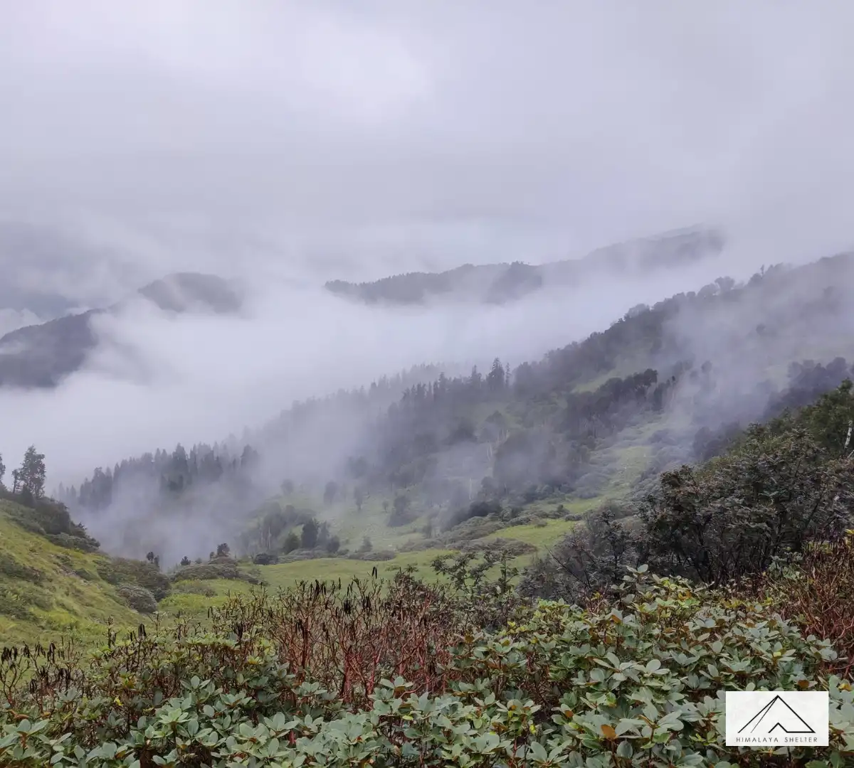 Gallery photo - Family Trip in Summer Phulara Ridge Trek 5
