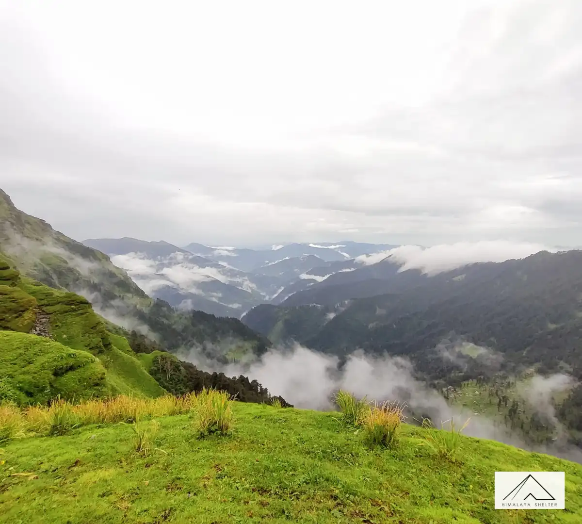 Gallery photo - Family Trip in Summer Phulara Ridge Trek 6