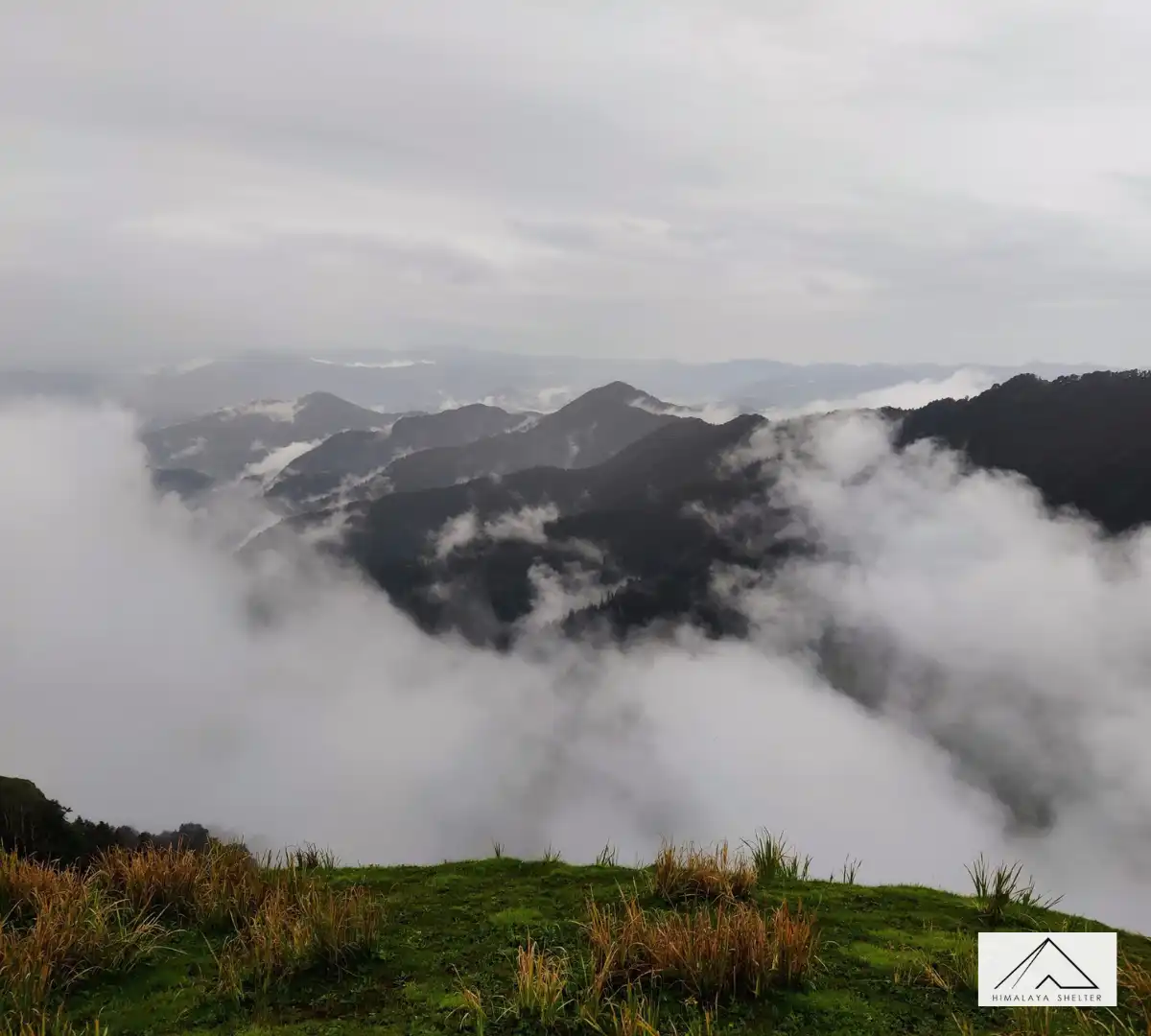 Gallery photo - Family Trip in Summer Phulara Ridge Trek 8