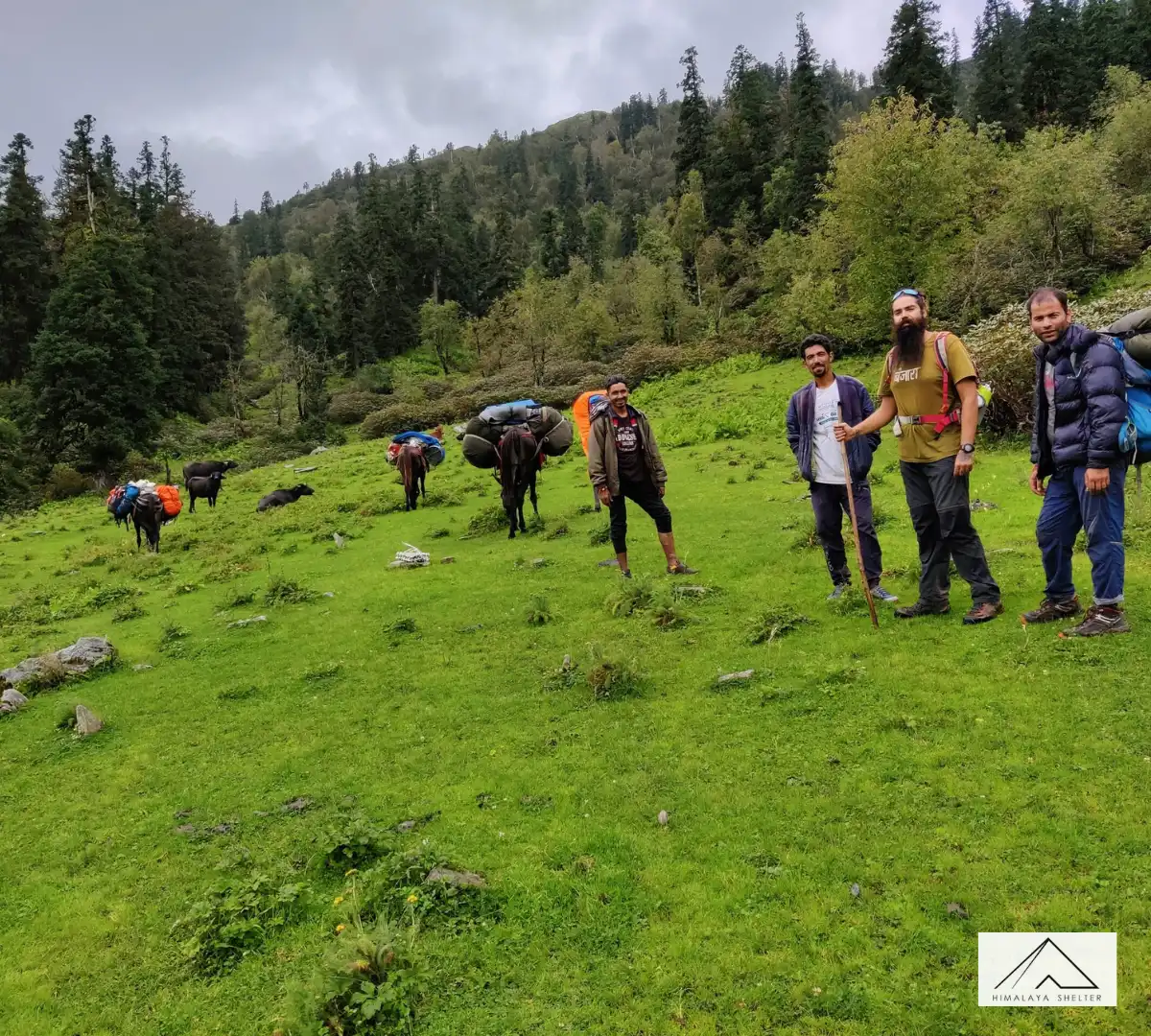 Gallery photo - Family Trip in Summer Phulara Ridge Trek 9