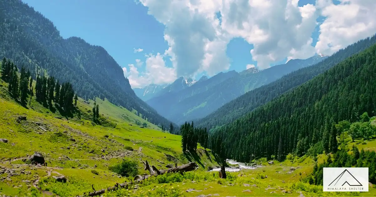Summer Season View In Tarsar Marsar